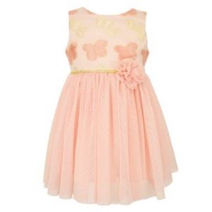 Popatu Girl’s Embroidered Butterfly Tulle Dress in Peach